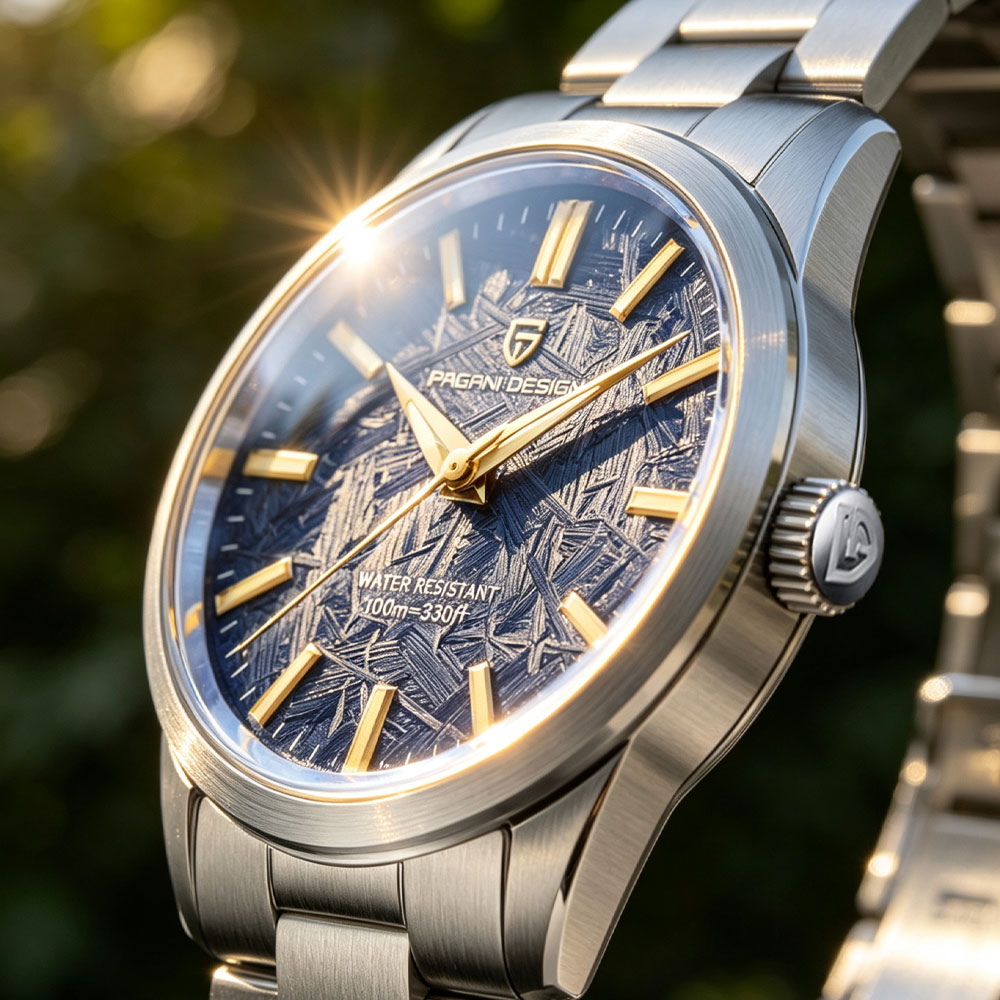 PAGANI DESIGN 40MM Herren Quar – Luxury Watch Display Bewertung und Preis